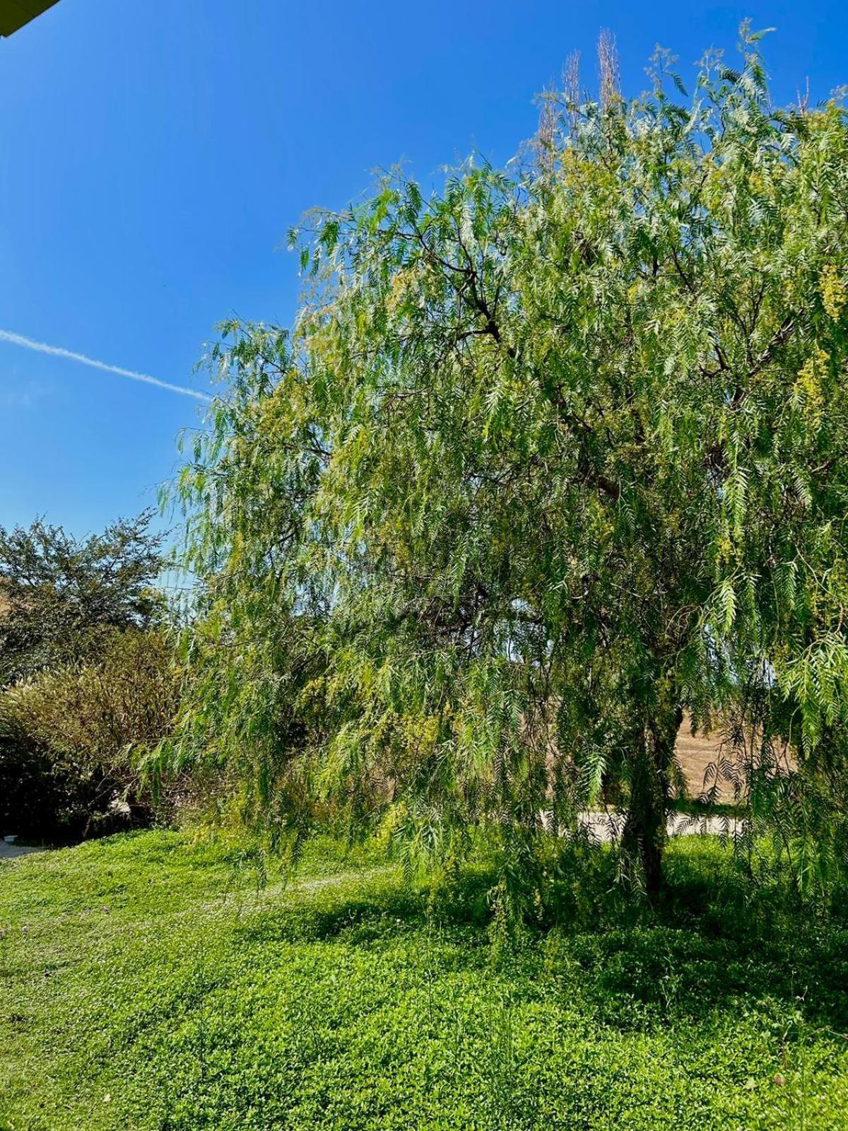 Agriturismo Podere Farnesiana Tarquinia Ngoại thất bức ảnh