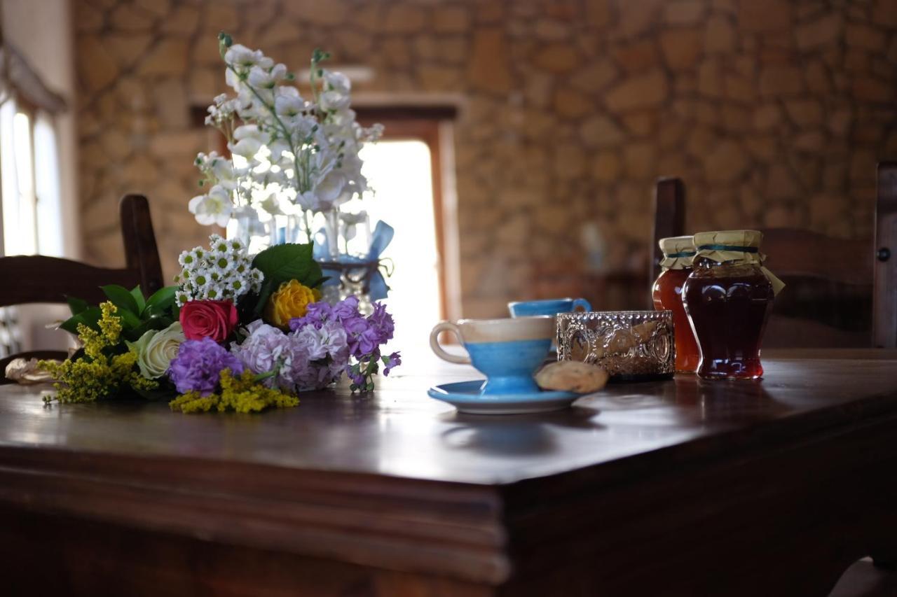 Agriturismo Podere Farnesiana Tarquinia Ngoại thất bức ảnh